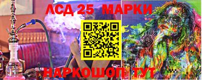 дмт Дубна