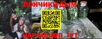 дмт Дубна