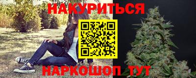 дмт Дубна