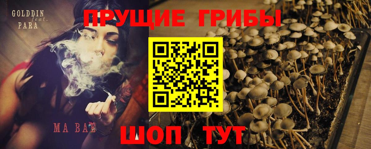 Псилоцибиновые грибы прущие грибы Можайск
